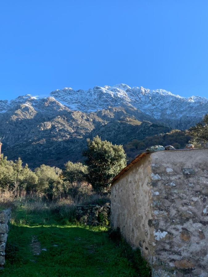 Casa Basgiu, Chambres Avec Balcon Et Table D'Hotes Zilia Dış mekan fotoğraf