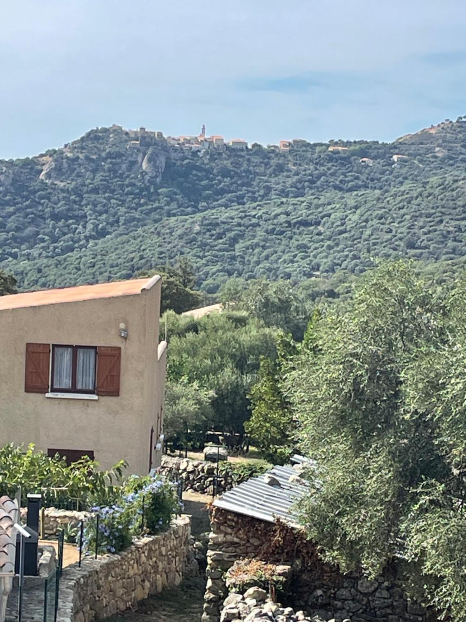 Casa Basgiu, Chambres Avec Balcon Et Table D'Hotes Zilia Dış mekan fotoğraf